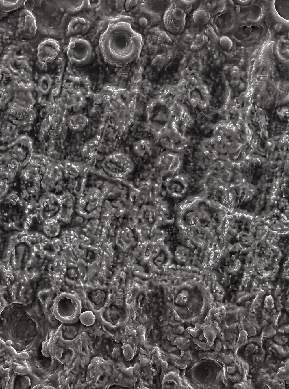 ArmorGrit™ Surface
