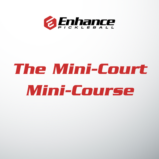 The Mini-Court Mini-Course ($50 Value)