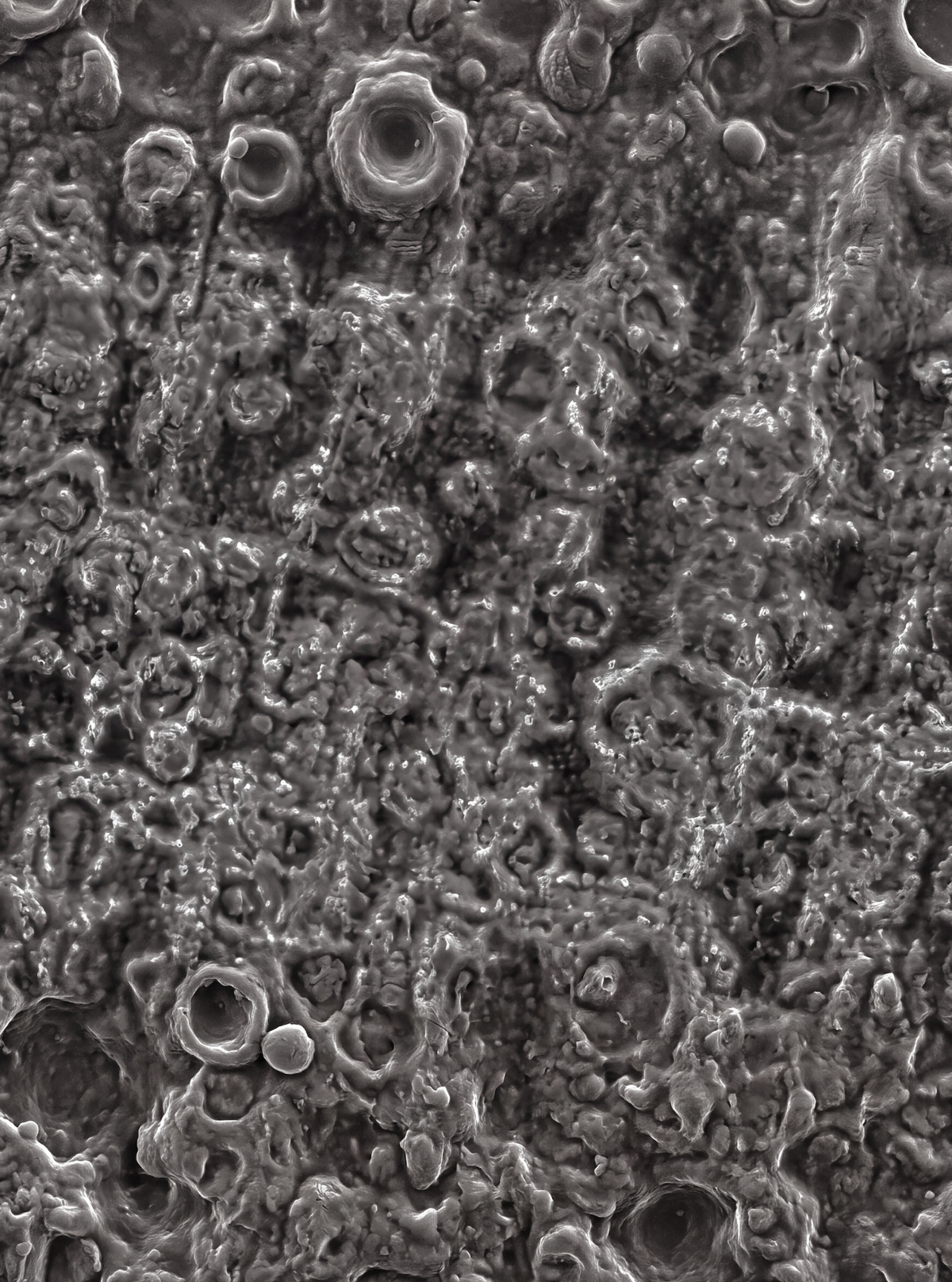 ArmorGrit surface close-up