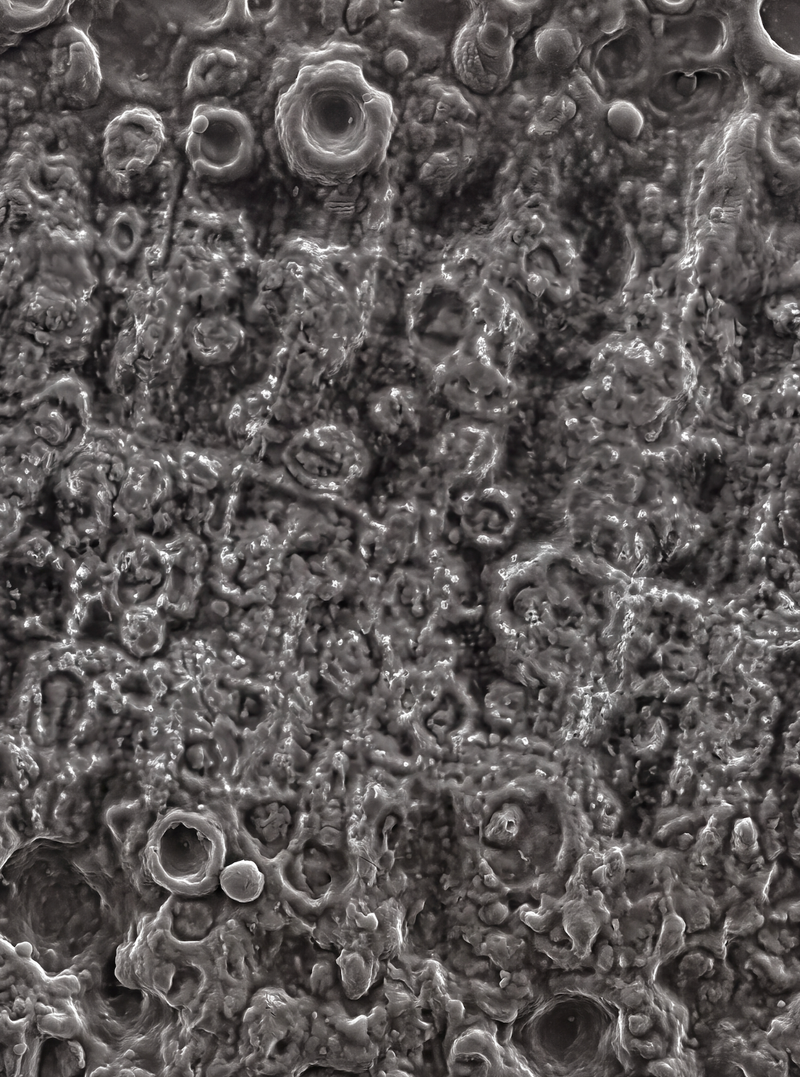 ArmorGrit™ Surface System